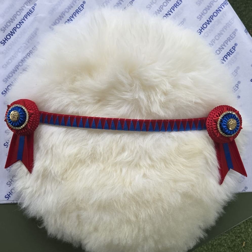 15" Red & Blue Browband