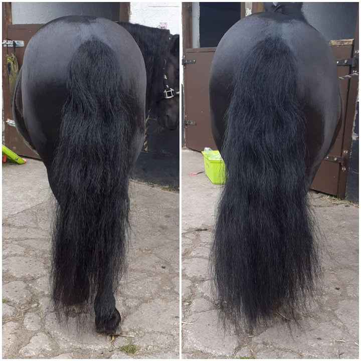 False Tail