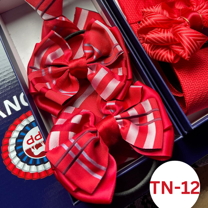 SPP Hair Bow Set