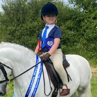 Ultimate Show Shirt | NAVY | Short Sleeve