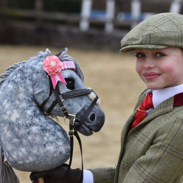 Hobby Horse Showing Browband