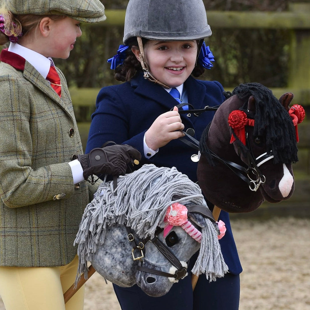 Hobby Horse Showing Browband