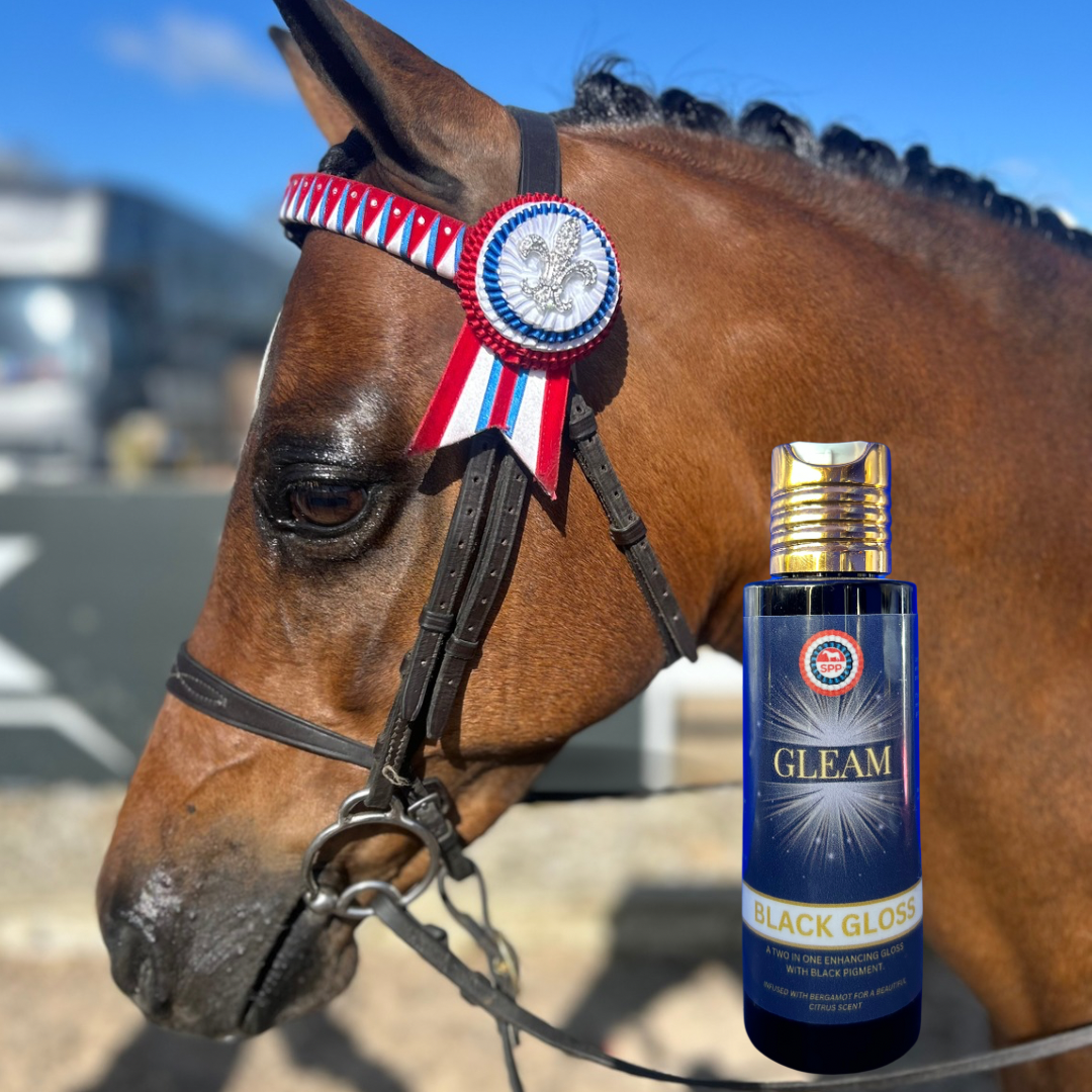 GLEAM Turnout Essentials
