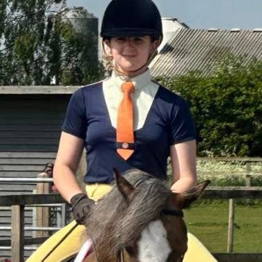 Ultimate Show Shirt | NAVY | Short Sleeve