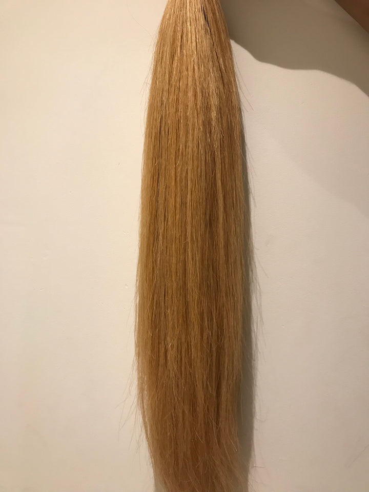 False Tail